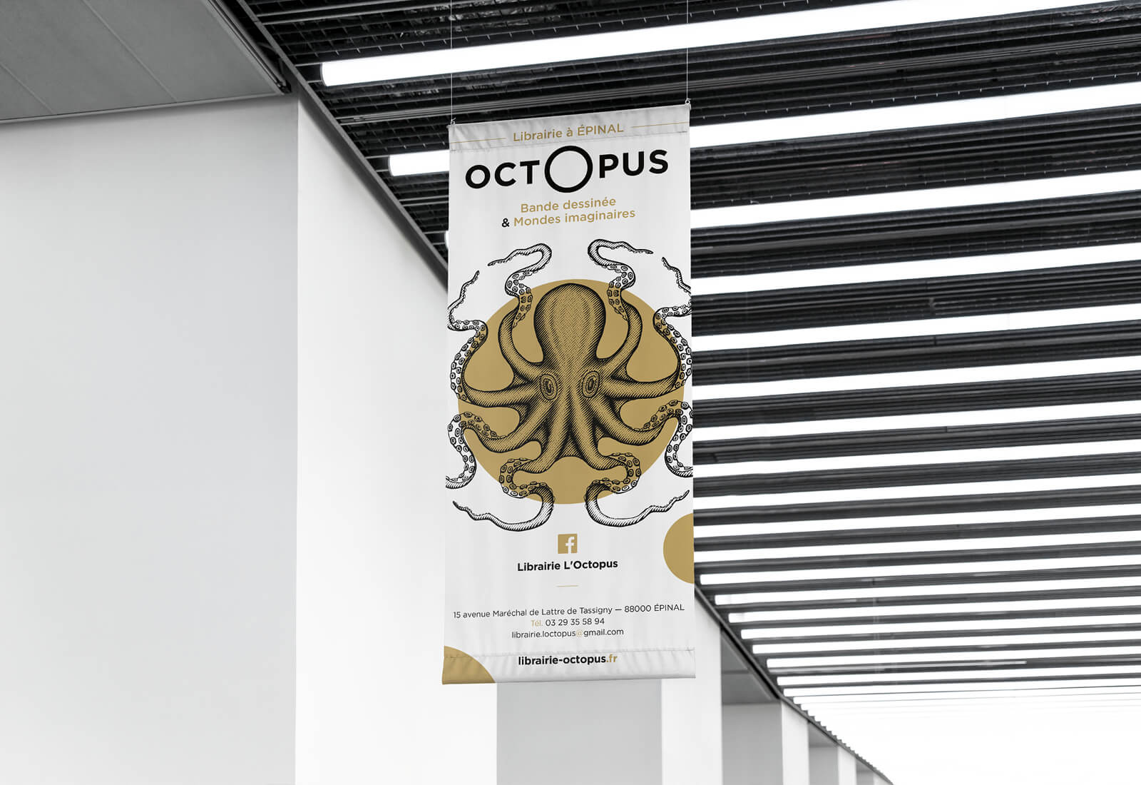 libraire octopus libraire octopus