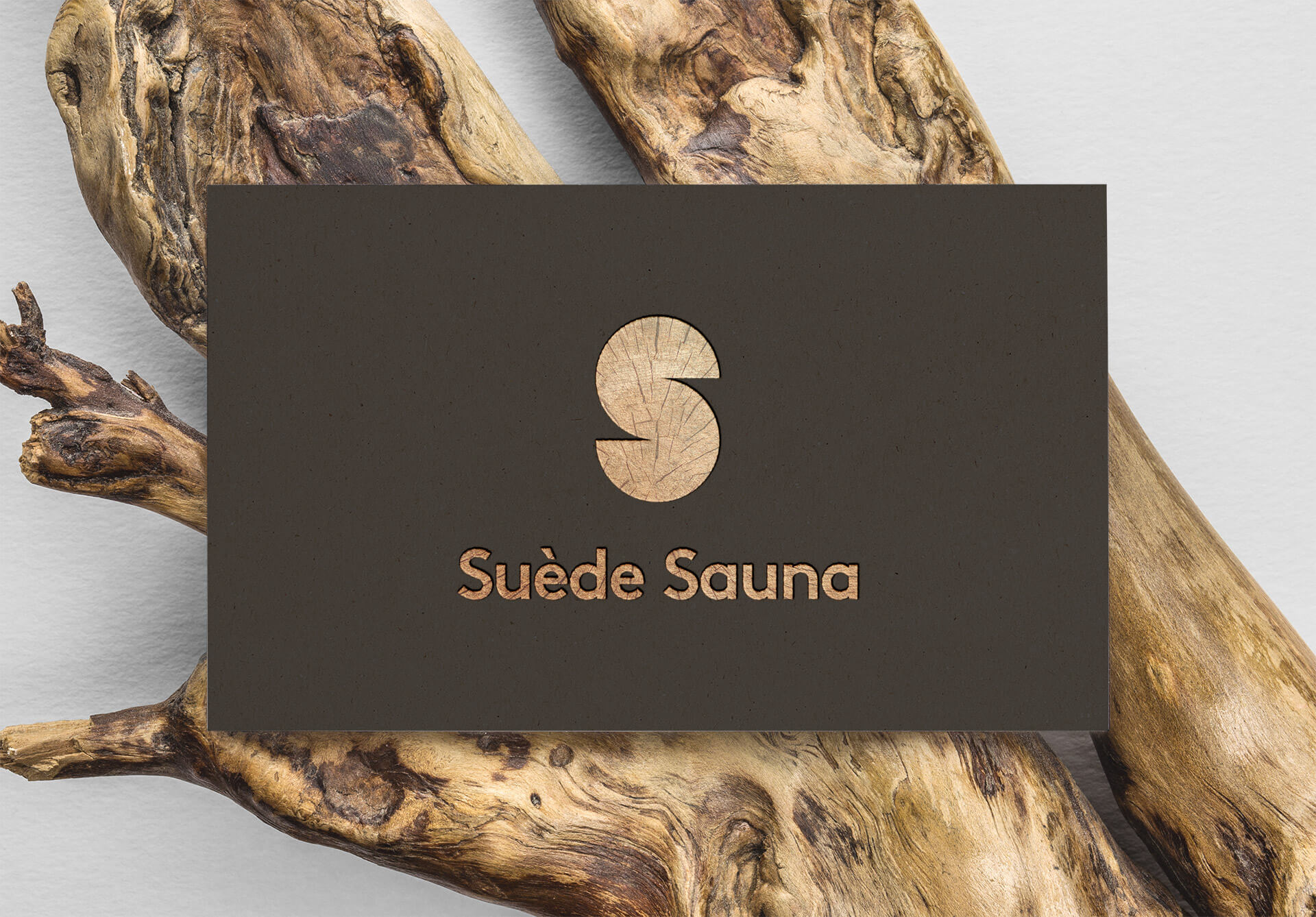 lezardscreation agence communication publicite vosges remiremont suede sauna suede sauna v carte