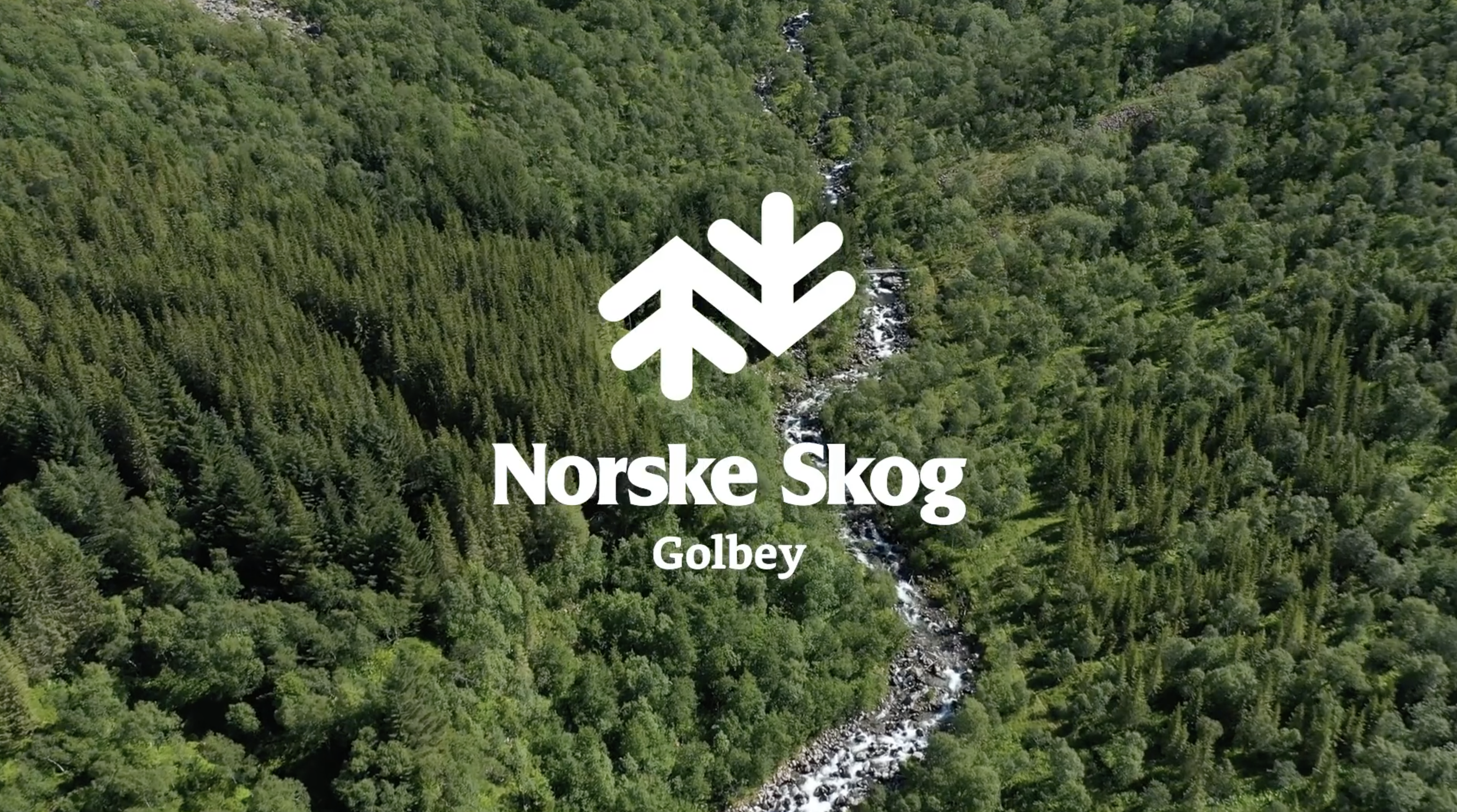lezardscreation agence communication publicite vosges remiremont trophee norske skog lezardscreation agence communication publicite vosges remiremont trophee norske skog